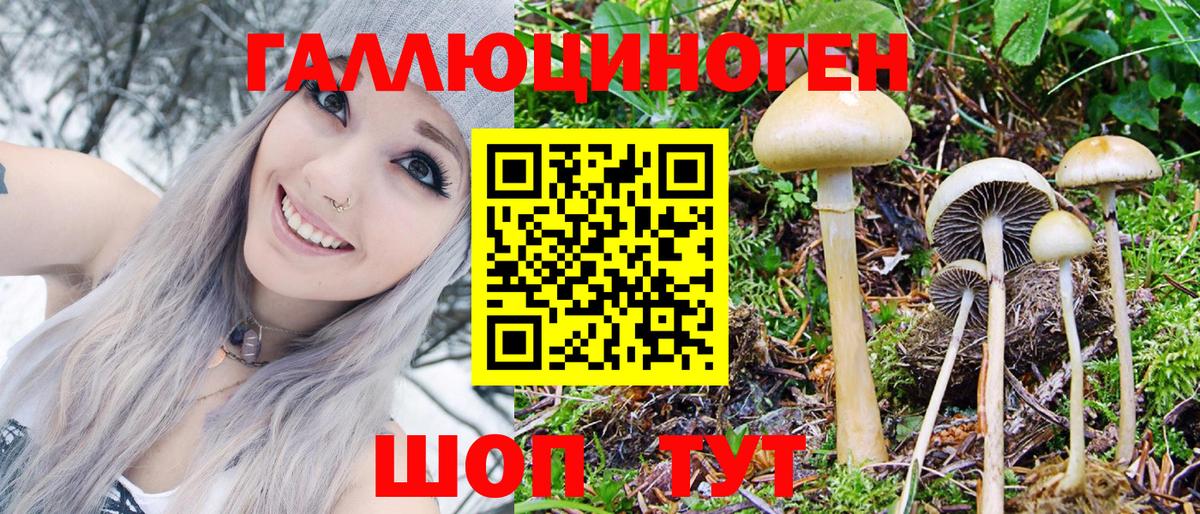 Галлюциногенные грибы мицелий Канск
