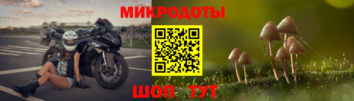 Галлюциногенные грибы Psilocybe  Галлюциногенные грибы Psilocybine cubensis  Канск  Вход с VPN 